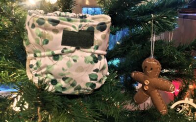 Gift Reusable Nappies this Christmas!